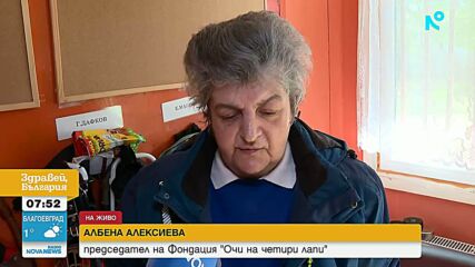 Очи на четири лапи: Колко важна е ролята на кучето водач