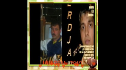 Erjan 2010 Viros 