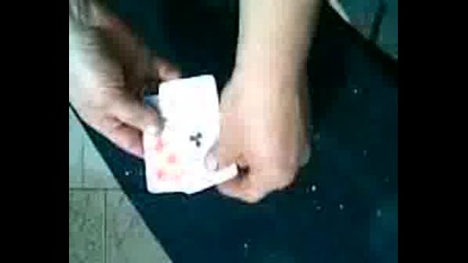 Mnoo Qk Fokus S Karti