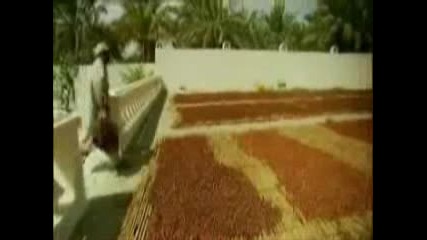 United Arab Emirates(uae) - Feast Of Dates