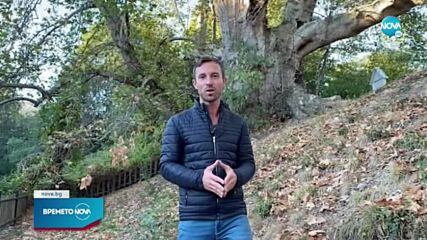Прогноза за времето (03.10.2021 - обедна емисия)