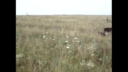 лов - 2009