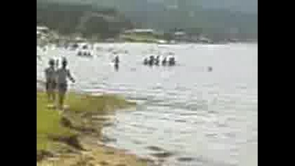 Цигани На Искър