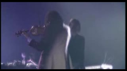 Nick Cave & The Bad Seeds - Oh My Lord - Live