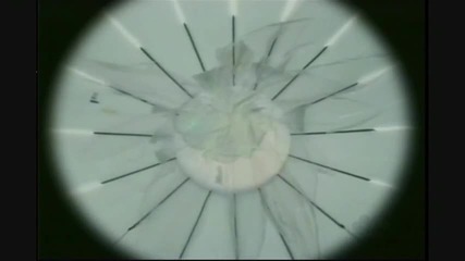 Enigma - Turn Around (hd)