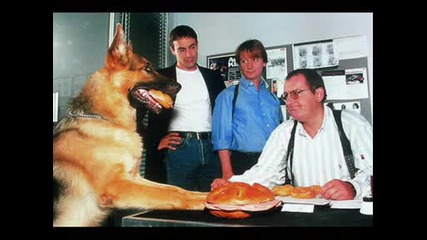 Kommissar Rex