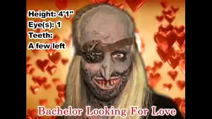 Looking For Love 