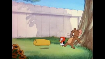 Tom and Jerry - 041 - Hatch Up Your Troubles [1948].