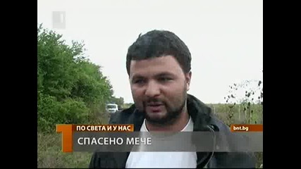 Спасено Мече Животното е Открито от Местни жители, които Подали Сигнала. 