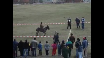 Osporvan Final na Magareta