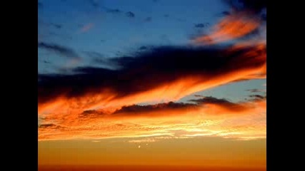 Chris Rea - only to fly 