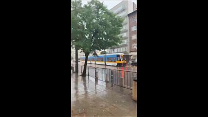 Дърво падна на трамвайните релси в София