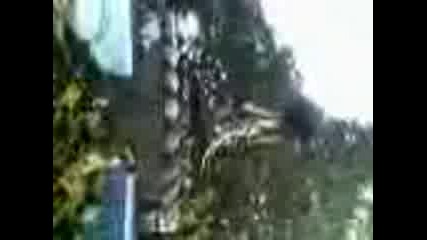 Стоян Маймуната 2
