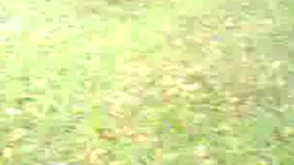 Agaclari Doktun Ya Sampiyon Seni Ya Beyaz Perdede 2016 Hd