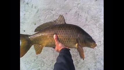 Carp Fishing in Bulgaria by Vlado Bosev 