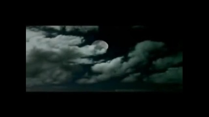 Tom Boxer - Morena 