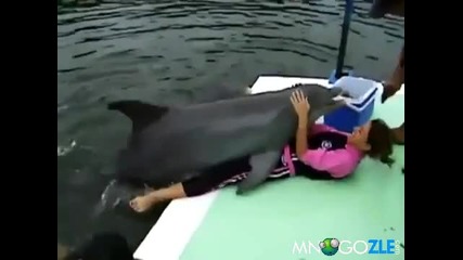 Делфин *ука мацка ! :d