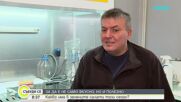 Какво има в зелените салати този сезон