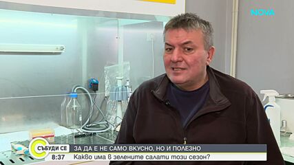 Какво има в зелените салати този сезон