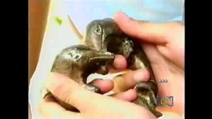 La Marca Del Deseo[luis Eduardo Y Maria Valentina]