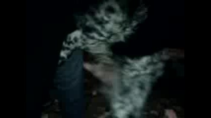 Куче ебе ръка (2) (16+) Смях! 