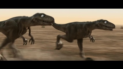 Raptors