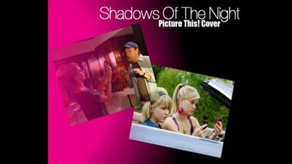 Picture This Shadows Of The Night Ashley Tisdale Cover