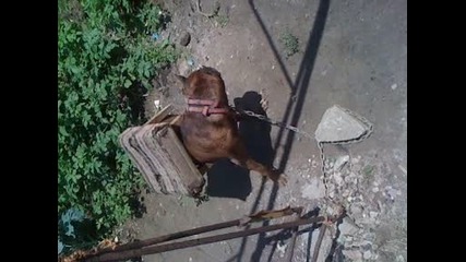 Този стол бая го измори :)