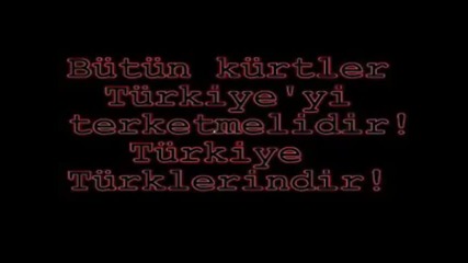 kurdler Turk bayragini indirdi - http://www.nihal-atsiz.com/