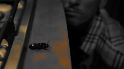 The Cataracs feat. Dev - Sunrise [ H D ] ( Превод )