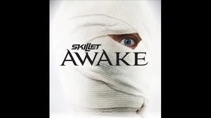 skillet-hero