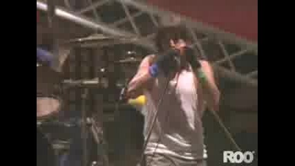 Red Hot Chili Peppers - Interview