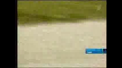 какво е това животно