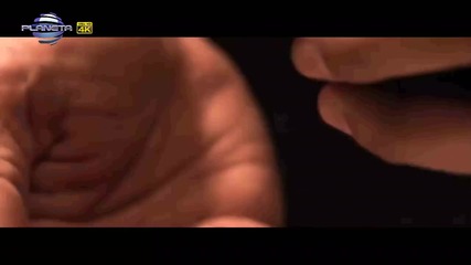 Анелия - Запомни / Фен Видео 2014