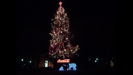Coca Cola Sofia 2009 Tree1