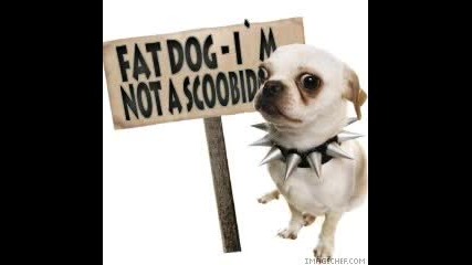 Fat Dog - I`m Not Scoobidoo