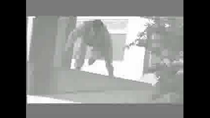Хора които обичат да скачат