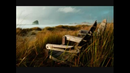 Mossy-still here