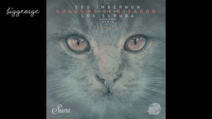 Edu Imbernon And Los Suruba - Shadows Of Rigadon ( Original Mix )