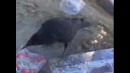 Foto 002