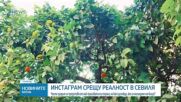 Instagram срещу реалност в Севиля:Как изглежда градът от близо