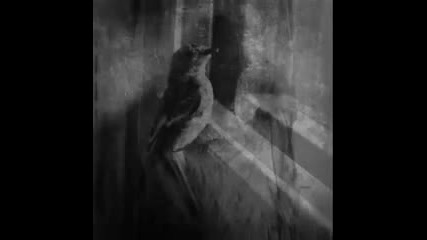 Peter Andersson Tulpa Part Iii - The Meadow Dream 
