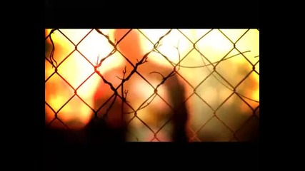 Roberto - Love You More 