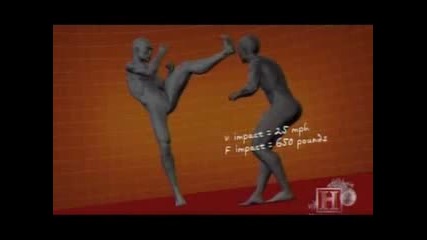 Human Weapon - Tae Kwon Do - Body Guard Combo