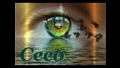 New 2010 Ceco i Sashka & Ork Kristali - Bez teb nemoga 
