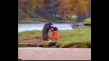 Bear vs Man 