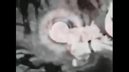 The Fall Of Team Seven 