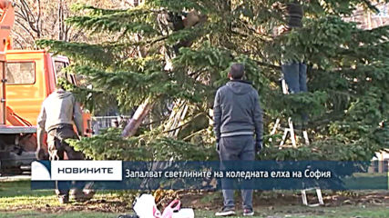 Запалват светлините на коледната елха на София
