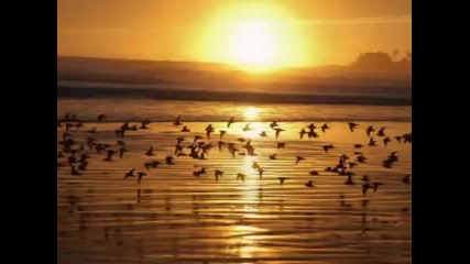 Sunset - Romantic guitar