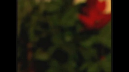 Muharem Serbezovski - Boze boze